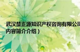 武汉楚正源知识产权咨询有限公司（大楚 武汉知识产权事务有限公司相关内容简介介绍）