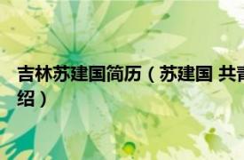 吉林苏建国简历（苏建国 共青团吉林省委副书记相关内容简介介绍）