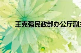 王克强民政部办公厅副主任对相关内容的简要介绍