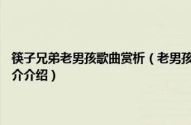 筷子兄弟老男孩歌曲赏析（老男孩 2010年筷子兄弟演唱的歌曲相关内容简介介绍）