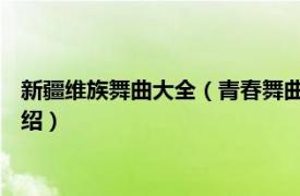 新疆维族舞曲大全（青春舞曲 新疆维吾尔族民歌相关内容简介介绍）