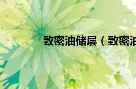 致密油储层（致密油气相关内容简介介绍）