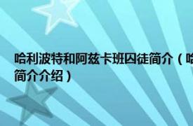 哈利波特和阿兹卡班囚徒简介（哈利波特与阿兹卡班囚徒 纪念版相关内容简介介绍）