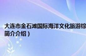 大连市金石滩国际海洋文化旅游综合体项目（大连国际沙滩文化节相关内容简介介绍）