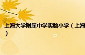 上海大学附属中学实验小学（上海大学附属中学实验学校相关内容简介介绍）