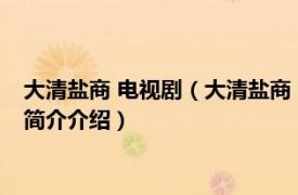 大清盐商 电视剧（大清盐商 2014年韩晓军执导电视剧相关内容简介介绍）