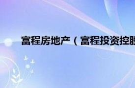 富程房地产（富程投资控股有限公司相关内容简介介绍）