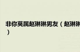 非你莫属赵琳琳男友（赵琳琳 非你莫属求职者相关内容简介介绍）