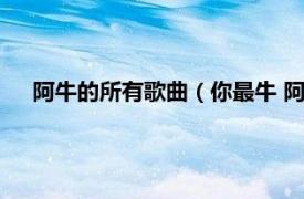 阿牛的所有歌曲（你最牛 阿牛演唱歌曲相关内容简介介绍）