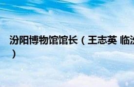 汾阳博物馆馆长（王志英 临汾市博物馆副馆长相关内容简介介绍）