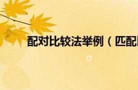 配对比较法举例（匹配比较法相关内容简介介绍）