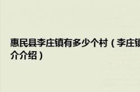 惠民县李庄镇有多少个村（李庄镇 山东省滨州市惠民县下辖镇相关内容简介介绍）