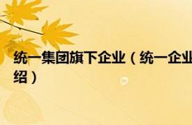 统一集团旗下企业（统一企业 中国投资有限公司相关内容简介介绍）