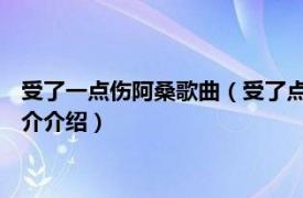 受了一点伤阿桑歌曲（受了点伤 阿桑的同名专辑再版相关内容简介介绍）