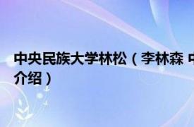 中央民族大学林松（李林森 中央民族大学副研究员相关内容简介介绍）