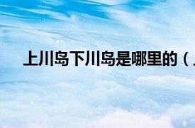 上川岛下川岛是哪里的（上下川岛相关内容简介介绍）