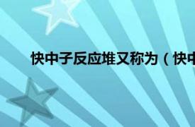 快中子反应堆又称为（快中子实验堆相关内容简介介绍）