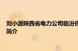 刘小源陕西省电力公司临汾供电公司带电作业班班长的相关内容简介