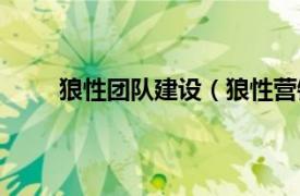 狼性团队建设（狼性营销团队相关内容简介介绍）