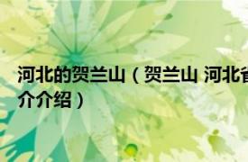 河北的贺兰山（贺兰山 河北省邯郸市冀南新区贺兰山相关内容简介介绍）