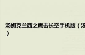 汤姆克兰西之鹰击长空手机版（汤姆克兰西：鹰击长空2相关内容简介介绍）