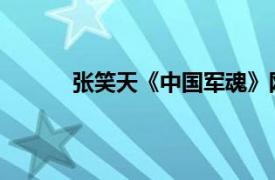 张笑天《中国军魂》网站负责人相关内容介绍