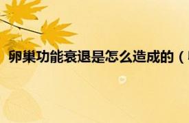 卵巢功能衰退是怎么造成的（卵巢机能衰退相关内容简介介绍）