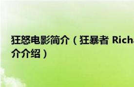 狂怒电影简介（狂暴者 Richard Benner执导的电影相关内容简介介绍）