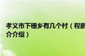 孝义市下栅乡有几个村（程鹏飞 孝义市下栅乡副乡长相关内容简介介绍）