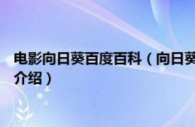 电影向日葵百度百科（向日葵女孩 肖昂执导的电影相关内容简介介绍）