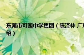 东莞市可园中学集团（陈泽林 广东省东莞市可园中学校长相关内容简介介绍）