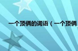 一个顶俩的词语（一个顶俩 网络流行词相关内容简介介绍）