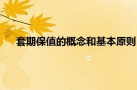 套期保值的概念和基本原则（套期保值相关内容简介介绍）