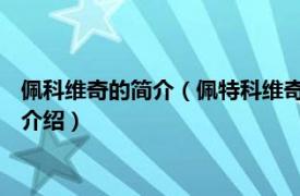 佩科维奇的简介（佩特科维奇 塞尔维亚足球运动员相关内容简介介绍）