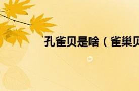 孔雀贝是啥（雀巢贝巴相关内容简介介绍）