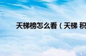 天梯榜怎么看（天梯 积分系统相关内容简介介绍）