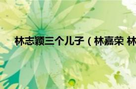 林志颖三个儿子（林嘉荣 林志颖的儿子相关内容简介介绍）