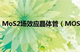 MoS2场效应晶体管（MOS场效晶体管相关内容简介介绍）