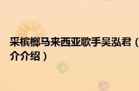 采槟榔马来西亚歌手吴泓君（采槟榔 吴泓君演唱歌曲相关内容简介介绍）