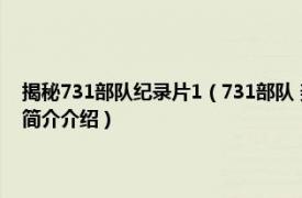 揭秘731部队纪录片1（731部队 美国克里斯D里比执导的纪录片相关内容简介介绍）