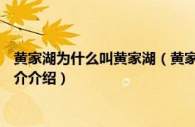 黄家湖为什么叫黄家湖（黄家湖 湖北省武汉市黄家湖相关内容简介介绍）