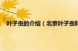 叶子虫的介绍（北京叶子虫科技有限公司相关内容简介介绍）