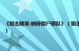 《狙击精英:纳粹僵尸部队》（狙击精英：纳粹僵尸部队2相关内容简介介绍）