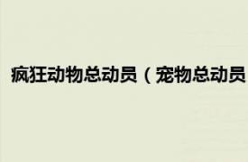 疯狂动物总动员（宠物总动员：疯狂的森林相关内容简介介绍）