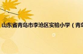 山东省青岛市李沧区实验小学（青岛市李沧区实验小学相关内容简介介绍）