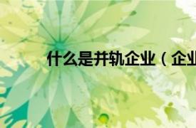 什么是并轨企业（企业并轨相关内容简介介绍）