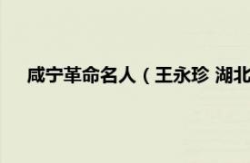 咸宁革命名人（王永珍 湖北咸宁籍烈士相关内容简介介绍）