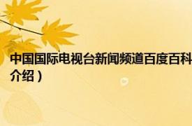 中国国际电视台新闻频道百度百科（中国国际电视台新闻频道相关内容简介介绍）