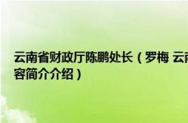 云南省财政厅陈鹏处长（罗梅 云南省财政厅总经济师、二级巡视员相关内容简介介绍）