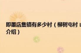 即墨店集镇有多少村（柳树屯村 山东省即墨市店集镇下辖村相关内容简介介绍）